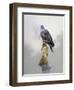 Turtle Dove-Joh Naito-Framed Giclee Print