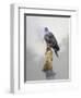 Turtle Dove-Joh Naito-Framed Giclee Print