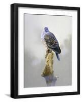 Turtle Dove-Joh Naito-Framed Giclee Print