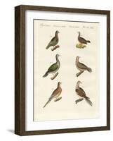 Turtle Doves-null-Framed Giclee Print