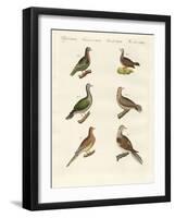 Turtle Doves-null-Framed Giclee Print