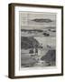 Turtle Egg Digging at Diamond Island-null-Framed Giclee Print