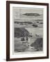 Turtle Egg Digging at Diamond Island-null-Framed Giclee Print