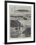 Turtle Egg Digging at Diamond Island-null-Framed Giclee Print