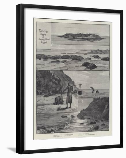 Turtle Egg Digging at Diamond Island-null-Framed Giclee Print