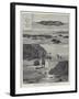 Turtle Egg Digging at Diamond Island-null-Framed Giclee Print
