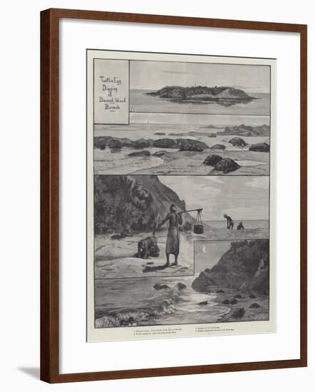 Turtle Egg Digging at Diamond Island-null-Framed Giclee Print