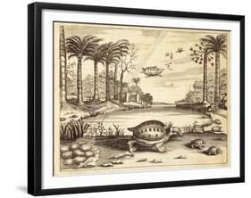 Turtle Eggs Hatching, from 'China Illustrated' by Athanasius Kircher (1601-80) 1667-null-Framed Giclee Print