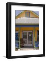 Turtle Farm, Grand Cayman, Cayman Islands, British West Indies-Lisa S. Engelbrecht-Framed Photographic Print