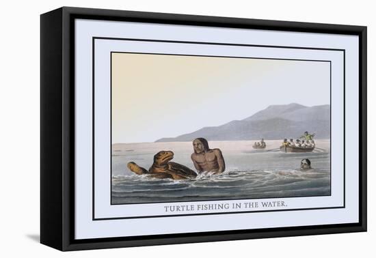 Turtle Fishing in the Water-J.h. Clark-Framed Stretched Canvas