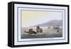 Turtle Fishing in the Water-J.h. Clark-Framed Stretched Canvas