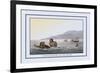 Turtle Fishing in the Water-J.h. Clark-Framed Art Print