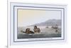 Turtle Fishing in the Water-J.h. Clark-Framed Art Print