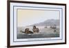 Turtle Fishing in the Water-J.h. Clark-Framed Art Print