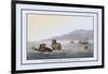 Turtle Fishing in the Water-J.h. Clark-Framed Art Print