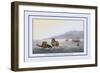 Turtle Fishing in the Water-J.h. Clark-Framed Premium Giclee Print