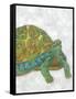 Turtle Friends I-Chariklia Zarris-Framed Stretched Canvas