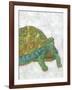 Turtle Friends I-Chariklia Zarris-Framed Art Print