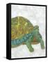 Turtle Friends I-Chariklia Zarris-Framed Stretched Canvas