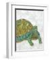 Turtle Friends I-Chariklia Zarris-Framed Art Print
