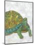Turtle Friends I-Chariklia Zarris-Mounted Art Print