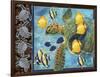 Turtle Hatchlings-James Mazzotta-Framed Giclee Print