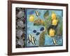 Turtle Hatchlings-James Mazzotta-Framed Giclee Print