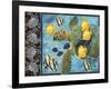 Turtle Hatchlings-James Mazzotta-Framed Giclee Print