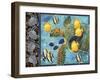 Turtle Hatchlings-James Mazzotta-Framed Giclee Print