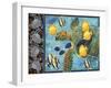 Turtle Hatchlings-James Mazzotta-Framed Giclee Print