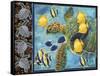 Turtle Hatchlings-James Mazzotta-Framed Stretched Canvas