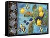 Turtle Hatchlings-James Mazzotta-Framed Stretched Canvas