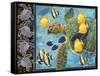 Turtle Hatchlings-James Mazzotta-Framed Stretched Canvas