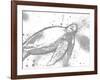 Turtle In The Grey-OnRei-Framed Art Print