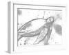 Turtle In The Grey-OnRei-Framed Art Print