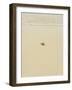 Turtle Making its Way to the Water-Papadopoulos Sakis-Framed Photographic Print