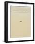 Turtle Making its Way to the Water-Papadopoulos Sakis-Framed Photographic Print