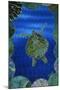 Turtle on Blue-null-Mounted Art Print