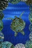 Turtle on Blue-Rogest-Stretched Canvas