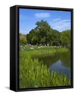 Turtle Pond Area in Central Park, New York City, New York, United States of America, North America-Richard Cummins-Framed Stretched Canvas