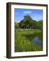 Turtle Pond Area in Central Park, New York City, New York, United States of America, North America-Richard Cummins-Framed Photographic Print