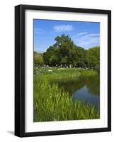 Turtle Pond Area in Central Park, New York City, New York, United States of America, North America-Richard Cummins-Framed Photographic Print