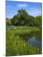 Turtle Pond Area in Central Park, New York City, New York, United States of America, North America-Richard Cummins-Mounted Photographic Print