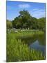 Turtle Pond Area in Central Park, New York City, New York, United States of America, North America-Richard Cummins-Mounted Photographic Print