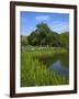 Turtle Pond Area in Central Park, New York City, New York, United States of America, North America-Richard Cummins-Framed Photographic Print