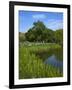 Turtle Pond Area in Central Park, New York City, New York, United States of America, North America-Richard Cummins-Framed Photographic Print