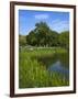 Turtle Pond Area in Central Park, New York City, New York, United States of America, North America-Richard Cummins-Framed Photographic Print