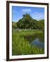 Turtle Pond Area in Central Park, New York City, New York, United States of America, North America-Richard Cummins-Framed Photographic Print