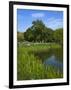 Turtle Pond Area in Central Park, New York City, New York, United States of America, North America-Richard Cummins-Framed Photographic Print