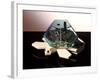 Turtle Robot-Victor De Schwanberg-Framed Premium Photographic Print